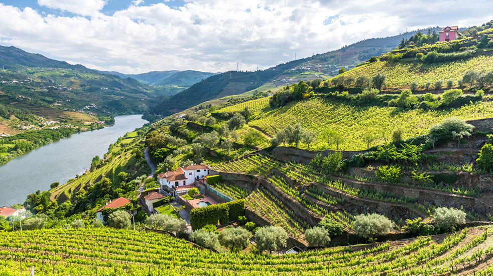 Vineyards to visit in Portugal